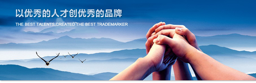 人才战略.png